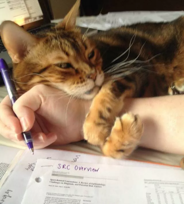 Picdump 377 - #53 