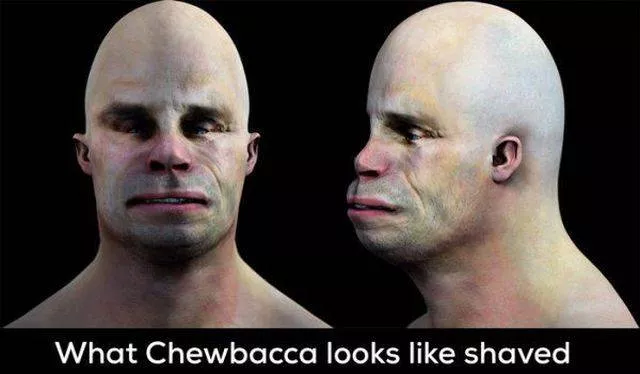 Picdump 377 - #54 