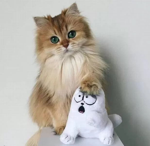 Picdump 377 - #55 