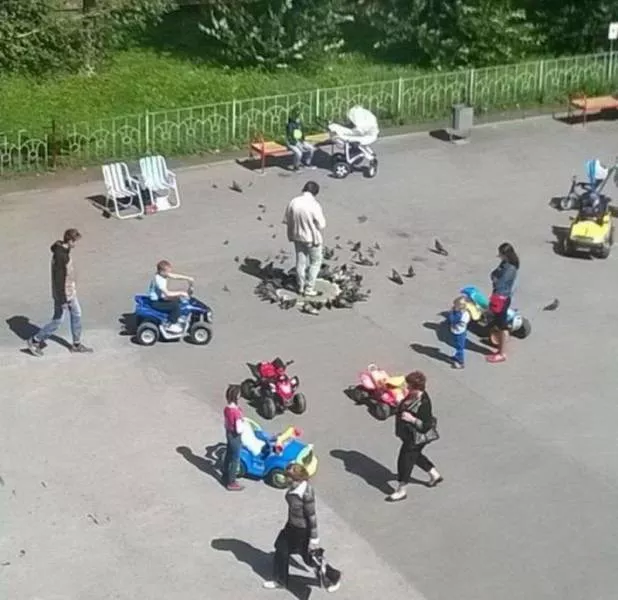 Picdump 377 - #72 