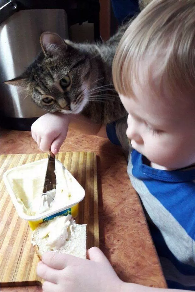 Picdump 377 - #80 