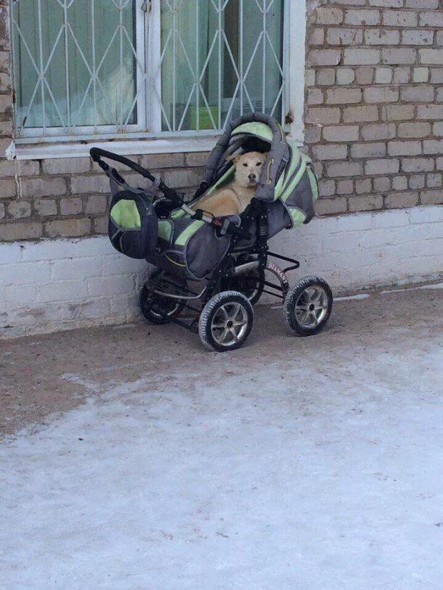 Picdump 377 - #90 
