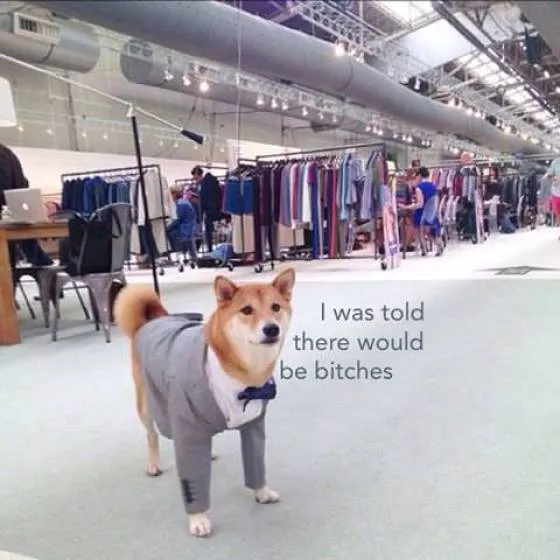 Picdump 378 - #32 