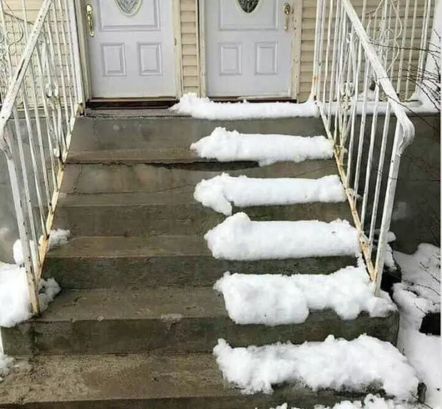 The weirdest and most original neighbors - #1 