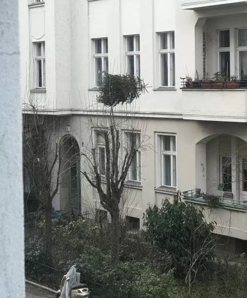 Les voisins les plus bizarres et originaux - #20 
