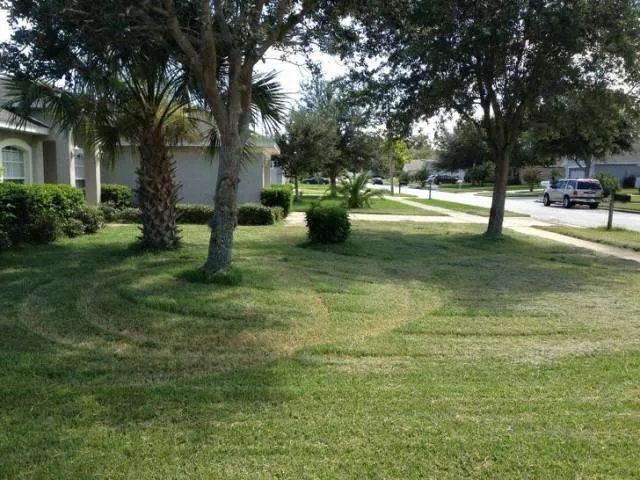 The weirdest and most original neighbors - #23 