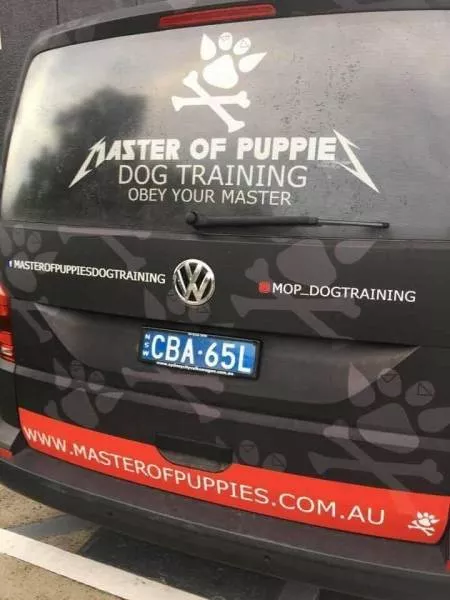 Picdump 379 - #47 