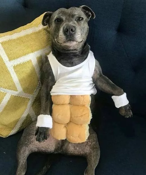 Picdump 379 - #50 