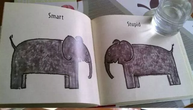 Droles livres pour enfants - #20 