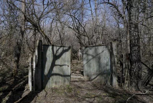 30th anniversary of chernobyl disaster - #10 