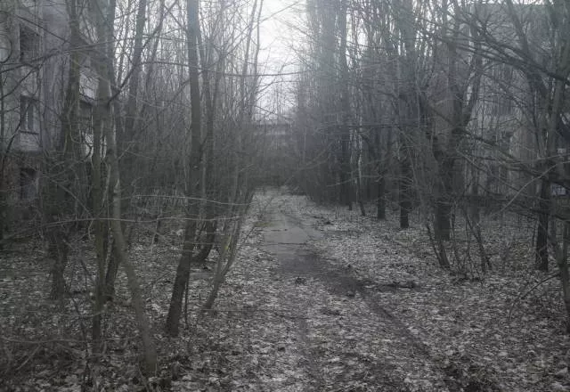 30th anniversary of chernobyl disaster - #15 