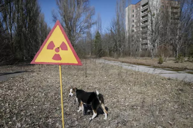30th anniversary of chernobyl disaster - #20 