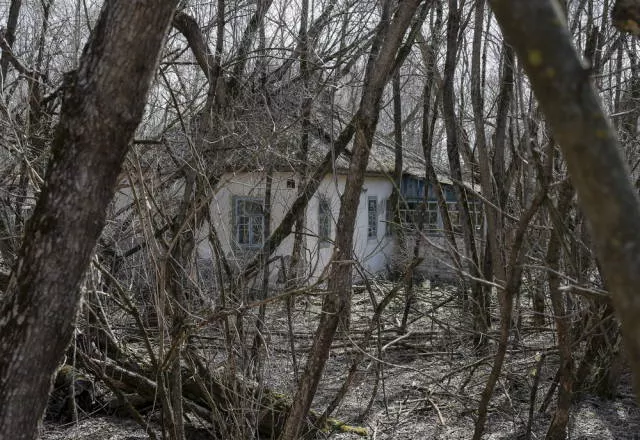 30th anniversary of chernobyl disaster - #5 
