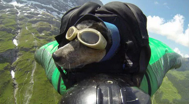 Les moments forts des parachutistes - #10 