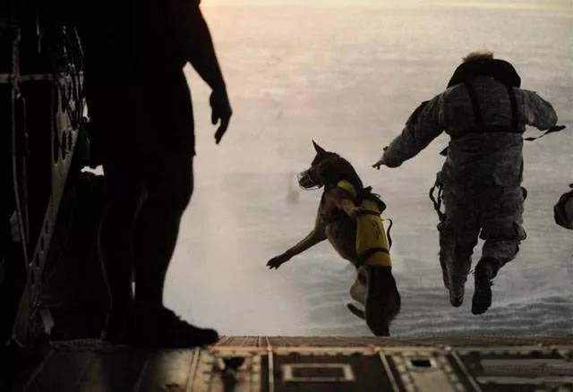 Les moments forts des parachutistes - #12 