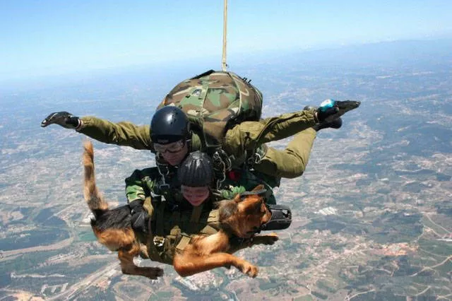 Les moments forts des parachutistes - #8 