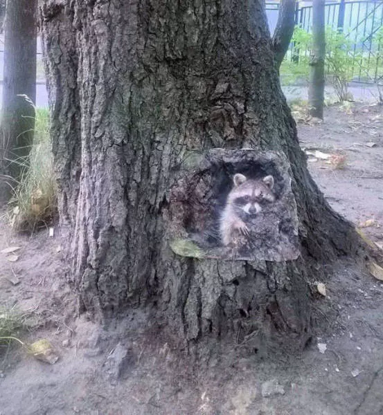 Meanwhile in russia - #14 