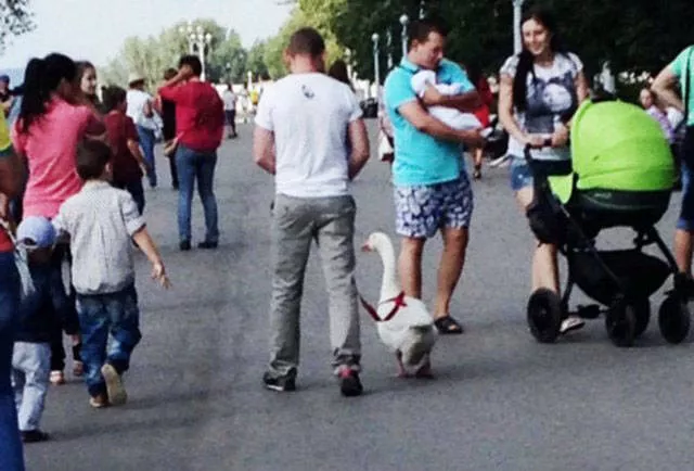 Meanwhile in russia - #23 