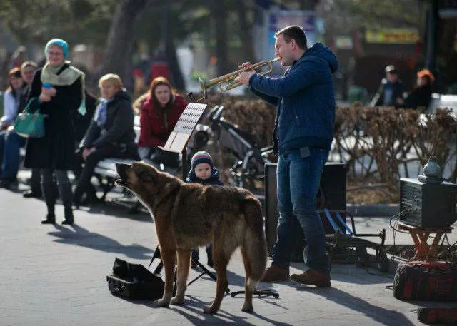 Pendant ce temps en russie - #7 