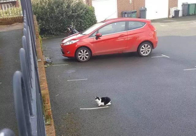 Picdump 380 - #10 
