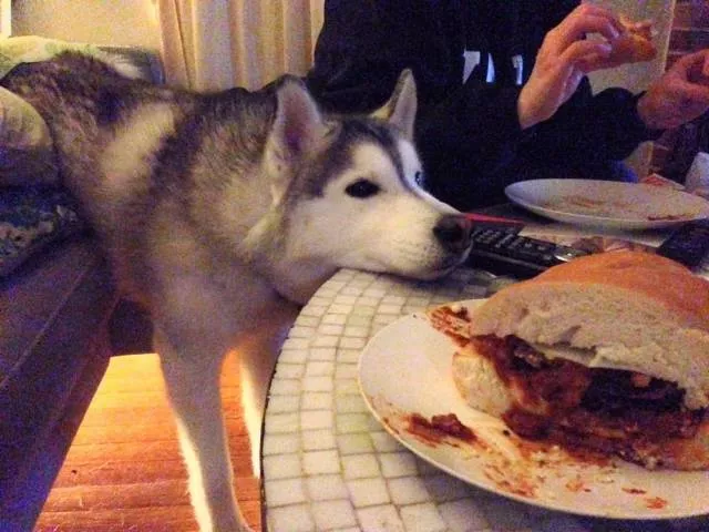 Picdump 380 - #15 