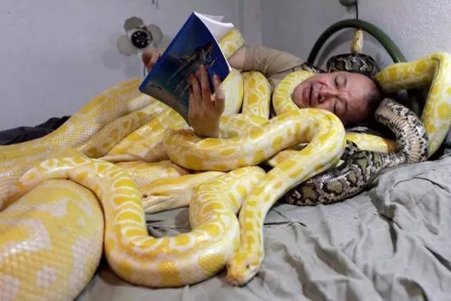 Picdump 380 - #19 