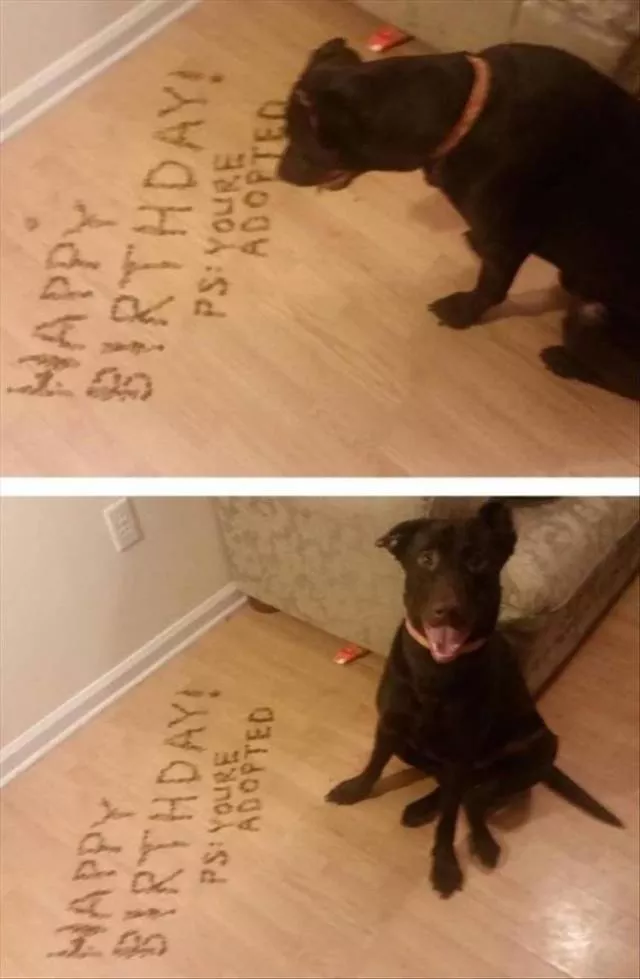 Picdump 380 - #26 