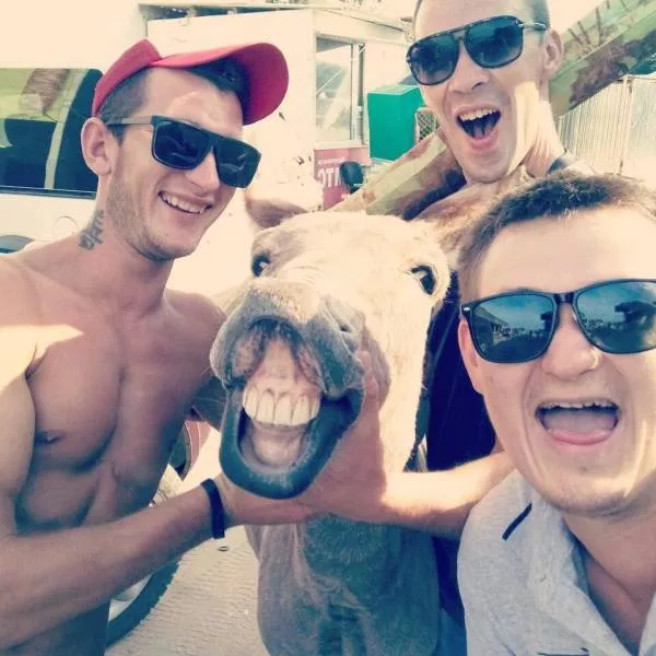 Picdump 380 - #32 