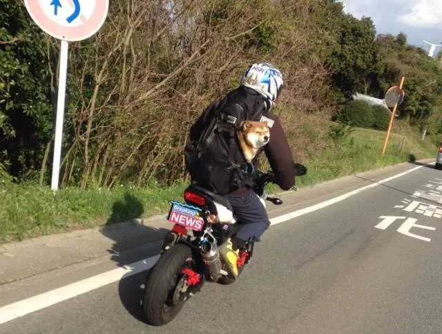 Picdump 380 - #4 