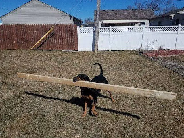 Picdump 380 - #47 