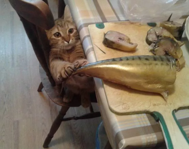 Picdump 380 - #7 