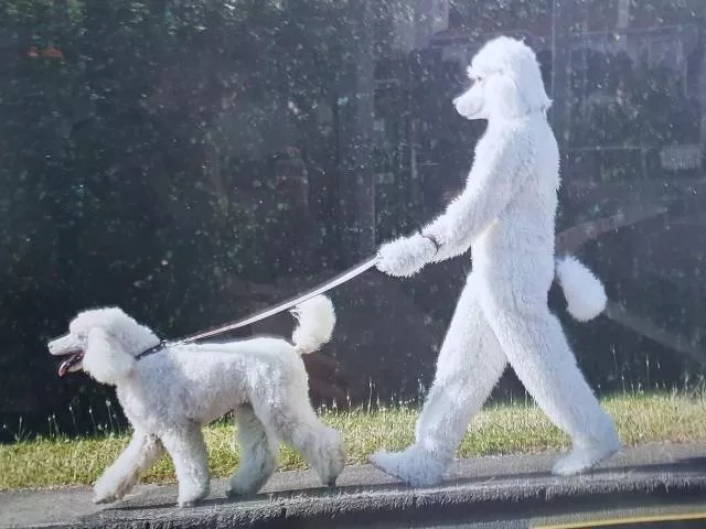 Picdump 380 - #9 