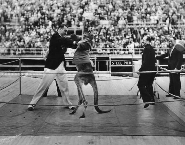 Rare historical pictures - #16 