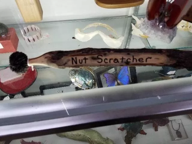 The most horrible pictures in the world - #22 