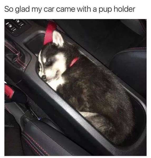 Picdump 381 - #43 