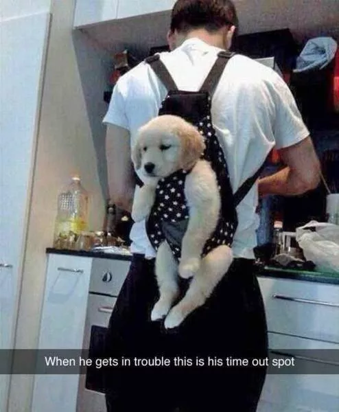 Picdump 70 - #10 