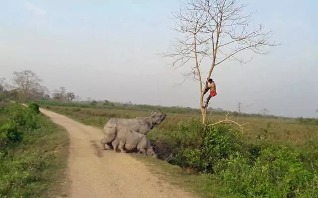 Picdump 70 - #25 