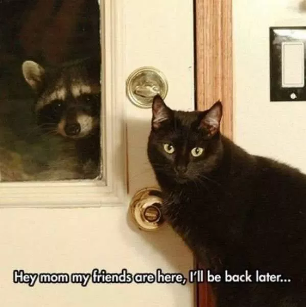 Picdump 70 - #51 