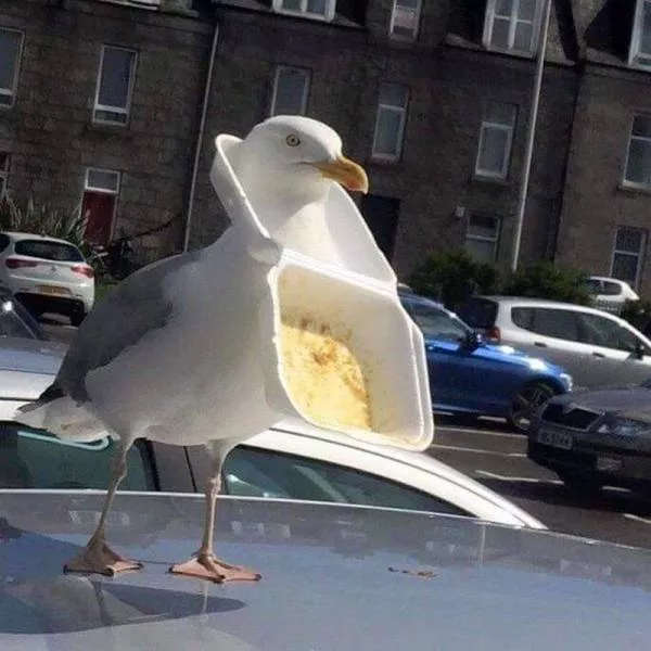 Picdump 70 - #7 