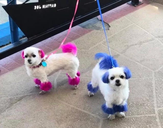 Picdump 382 - #11 