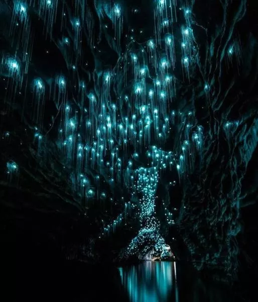 It looks like on another planet - #3 