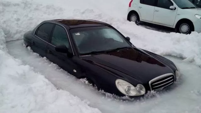 Picdump 383 - #11 