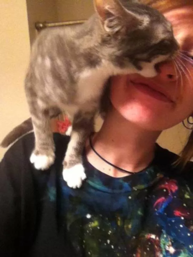 Picdump 383 - #35 