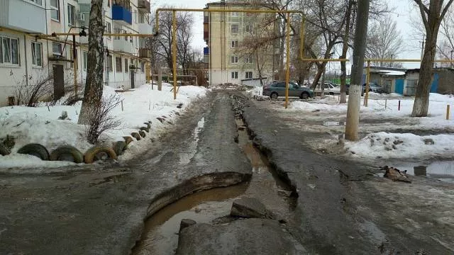 Picdump 383 - #59 