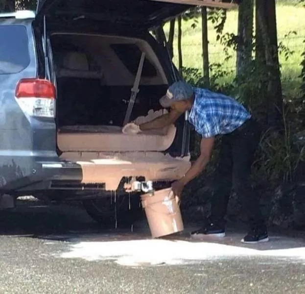 Picdump 383 - #79 