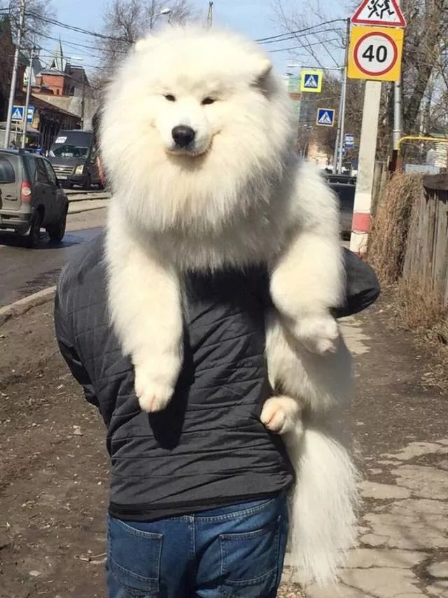 Picdump 384 - #16 