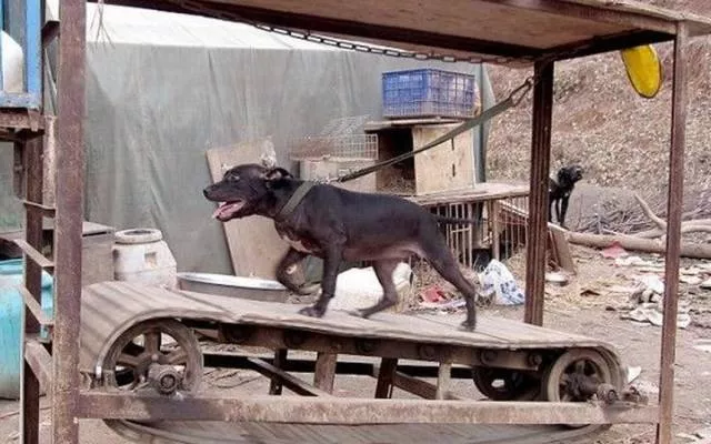 Made in china inventions - #2 