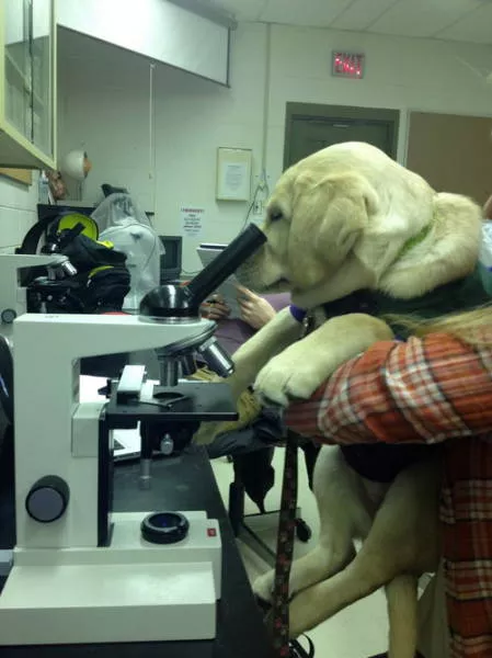 Picdump 71 - #20 