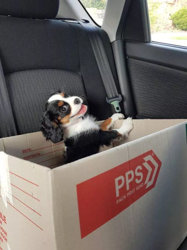 Picdump 385 - #13 
