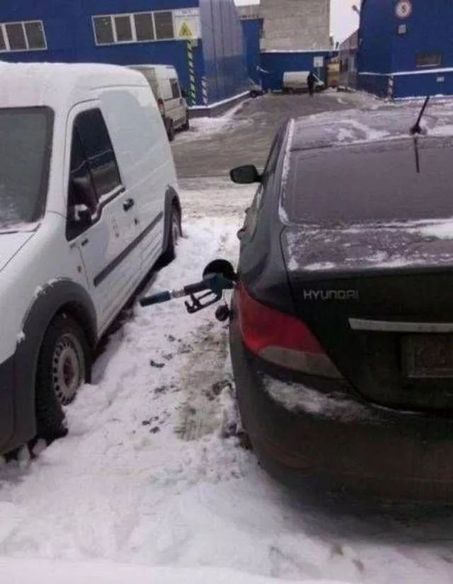 Picdump 385 - #25 